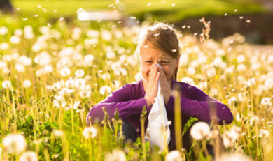 Allergie au Pollen