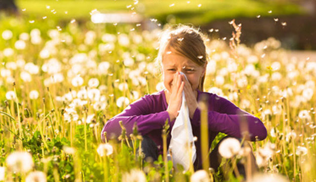 Allergie au Pollen
