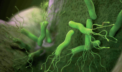 Helicobacter Pylori