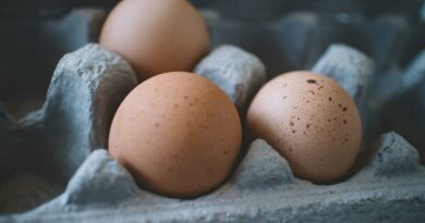 oeuf